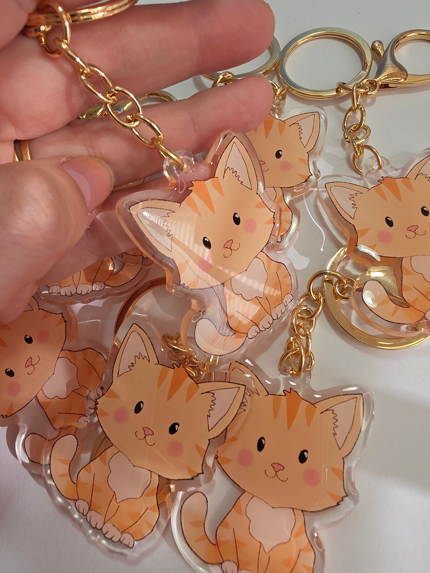 Pet Keychain 083 - Ginger - Cat