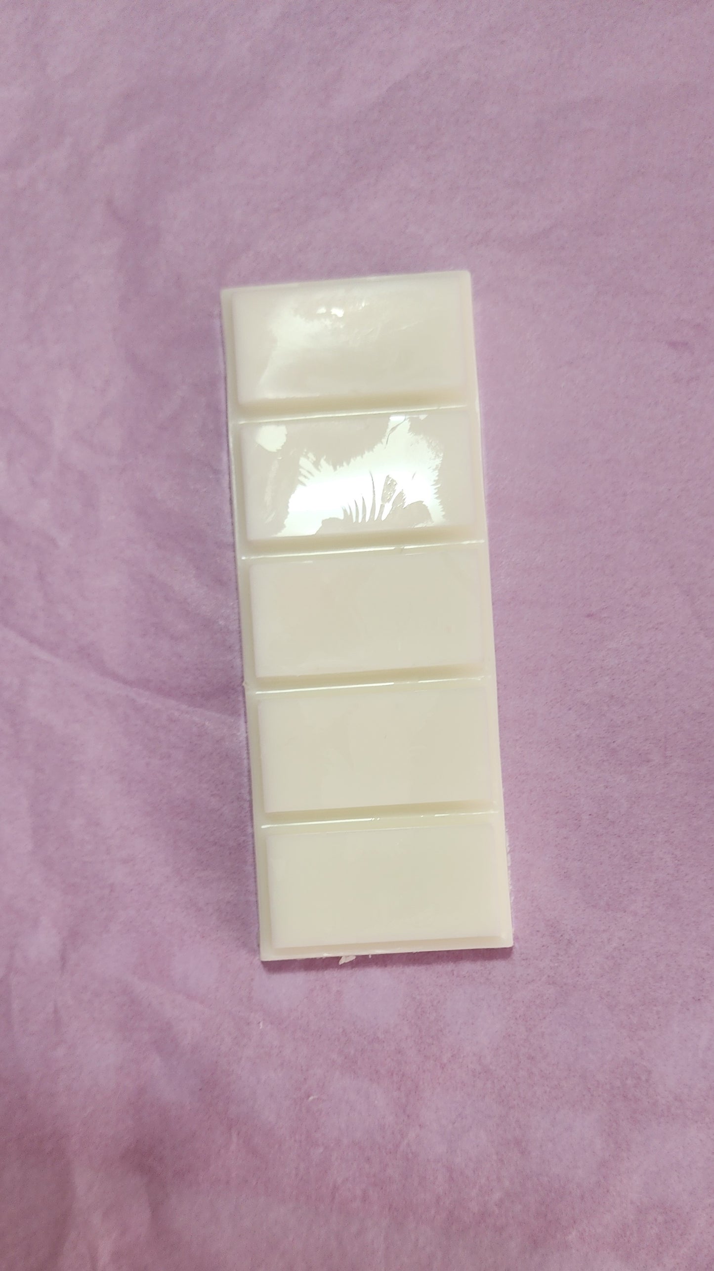 Snap Bar Wax Melt