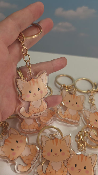 Pet Keychain 083 - Ginger - Cat