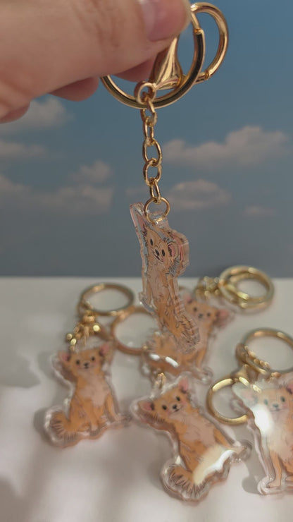 Pet Keychain 074 - Cream - Chihuahua