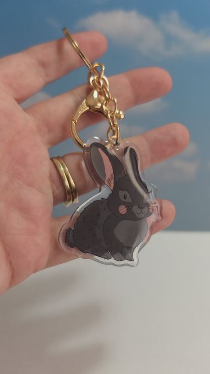 Pet Keychain 105 - Black - Rabbit