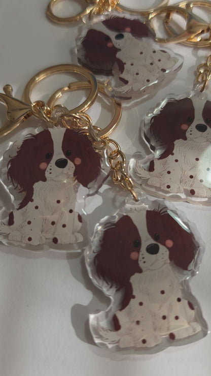 Pet Keychain 061 - Brown and White - Springer Spaniel