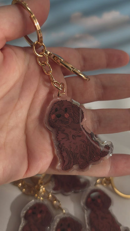 Pet Keychain 020 - Brown - Cavoodle