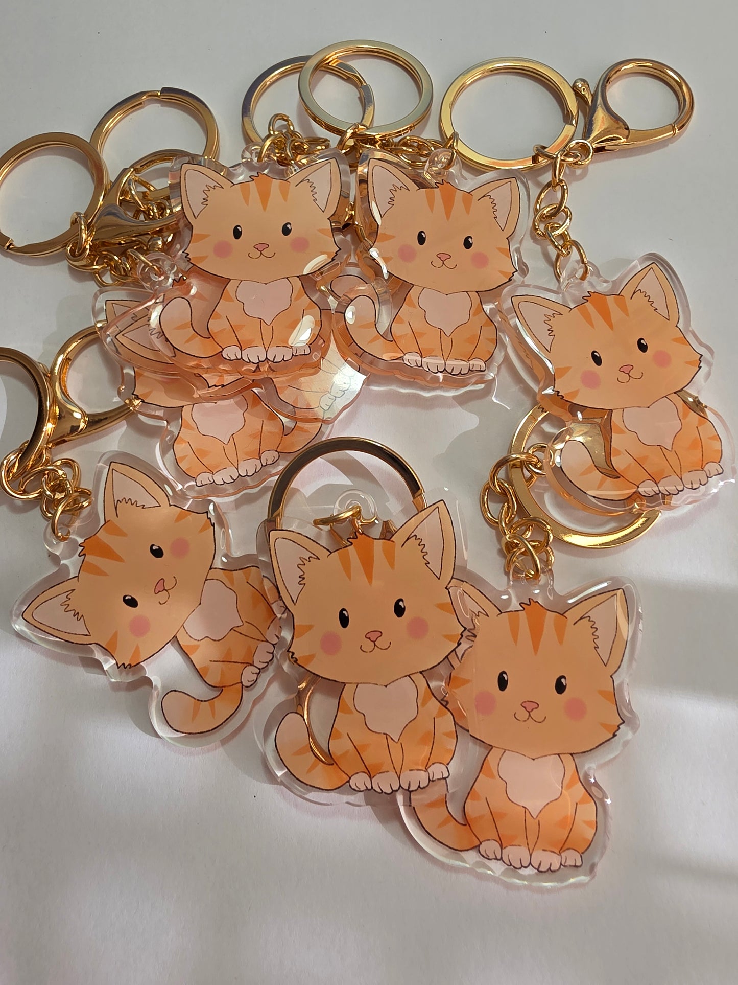 Pet Keychain 083 - Ginger - Cat