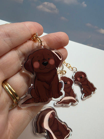 Pet Keychain 013 - Chocolate - Labrador Retriever