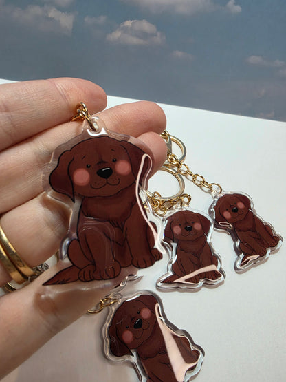 Pet Keychain 013 - Chocolate - Labrador Retriever