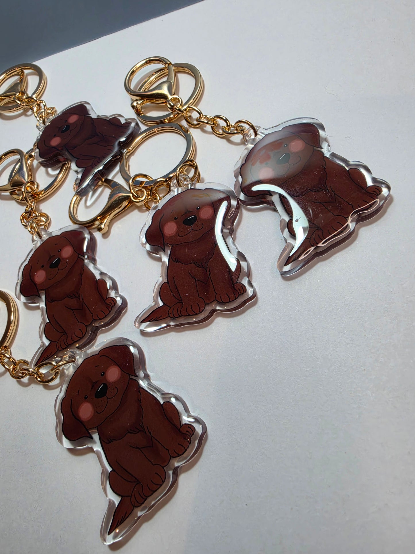Pet Keychain 013 - Chocolate - Labrador Retriever