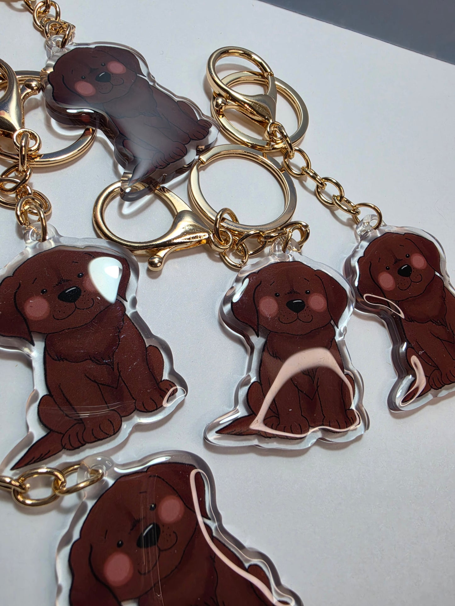 Pet Keychain 013 - Chocolate - Labrador Retriever